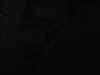 nocturne_5.jpg (48243 bytes)