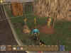 ultima_9_6.jpg (102147 bytes)